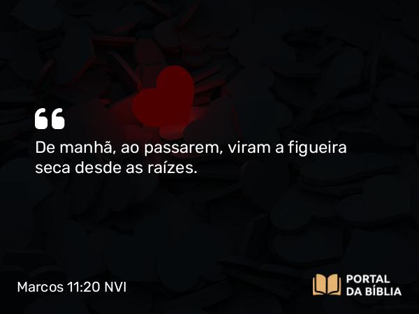 Marcos 11:20-24 NVI - De manhã, ao passarem, viram a figueira seca desde as raízes.