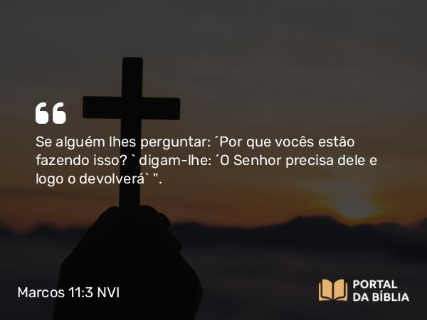 Marcos 11:3 NVI - Se alguém lhes perguntar: ´Por que vocês estão fazendo isso? ` digam-lhe: ´O Senhor precisa dele e logo o devolverá` 