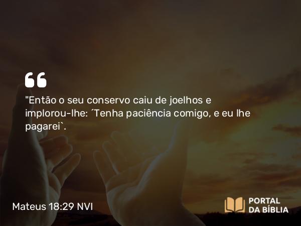 Mateus 18:29 NVI - 