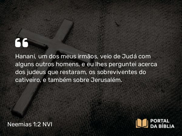 Neemias 1:2 NVI - Hanani, um dos meus irmãos, veio de Judá com alguns outros homens, e eu lhes perguntei acerca dos judeus que restaram, os sobreviventes do cativeiro, e também sobre Jerusalém.