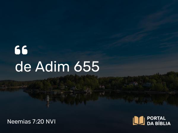 Neemias 7:20 NVI - de Adim 655