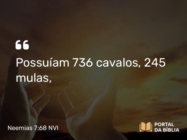 Neemias 7:68 NVI - Possuíam 736 cavalos, 245 mulas,