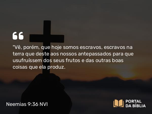 Neemias 9:36 NVI - 