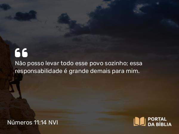 Números 11:14 NVI - Não posso levar todo esse povo sozinho; essa responsabilidade é grande demais para mim.