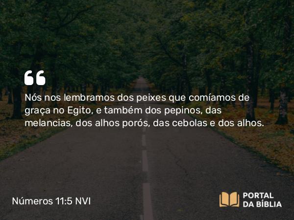 Números 11:5 NVI - Nós nos lembramos dos peixes que comíamos de graça no Egito, e também dos pepinos, das melancias, dos alhos porós, das cebolas e dos alhos.