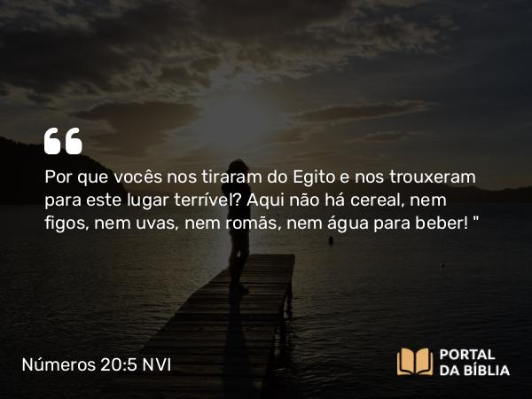 Números 20:5 NVI - Por que vocês nos tiraram do Egito e nos trouxeram para este lugar terrível? Aqui não há cereal, nem figos, nem uvas, nem romãs, nem água para beber! 