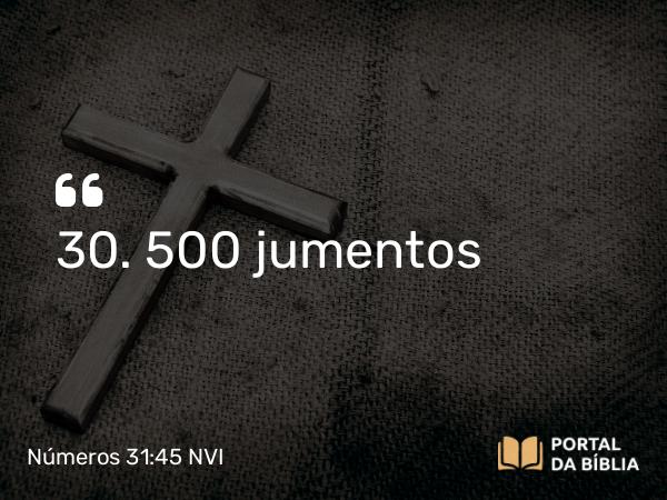 Números 31:45 NVI - 30. 500 jumentos