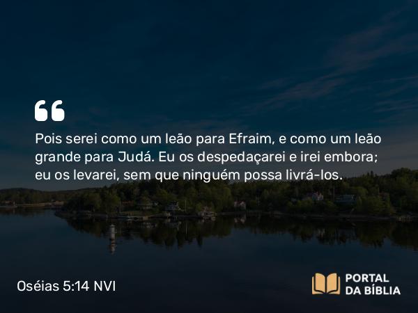 Oséias 5:14 NVI - Pois serei como um leão para Efraim, e como um leão grande para Judá. Eu os despedaçarei e irei embora; eu os levarei, sem que ninguém possa livrá-los.