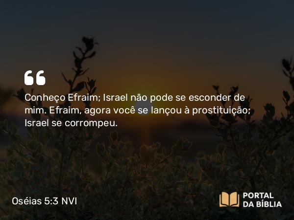 Oséias 5:3 NVI - Conheço Efraim; Israel não pode se esconder de mim. Efraim, agora você se lançou à prostituição; Israel se corrompeu.