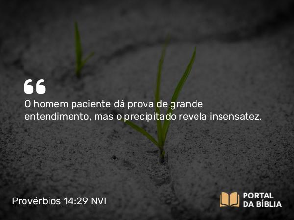 Provérbios 14:29 NVI - O homem paciente dá prova de grande entendimento, mas o precipitado revela insensatez.