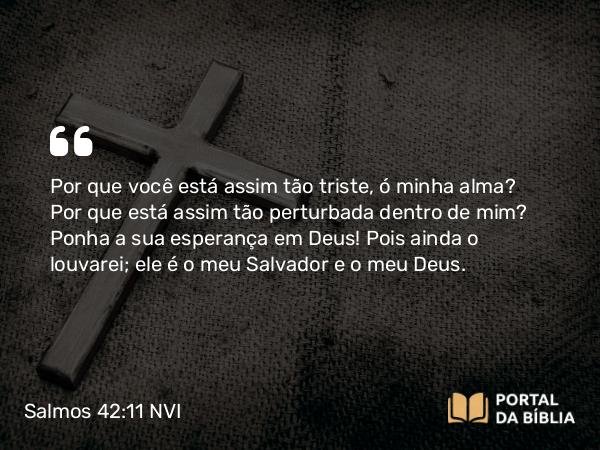 Salmos 42:11 NVI - Por que você está assim tão triste, ó minha alma? Por que está assim tão perturbada dentro de mim? Ponha a sua esperança em Deus! Pois ainda o louvarei; ele é o meu Salvador e o meu Deus.