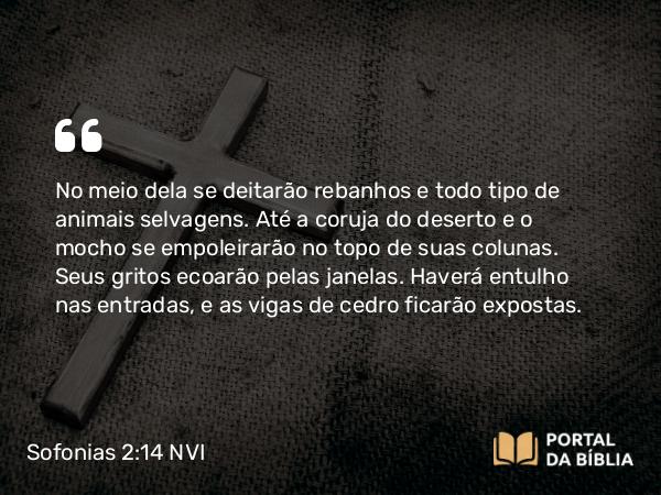 Sofonias 2:14 NVI - No meio dela se deitarão rebanhos e todo tipo de animais selvagens. Até a coruja do deserto e o mocho se empoleirarão no topo de suas colunas. Seus gritos ecoarão pelas janelas. Haverá entulho nas entradas, e as vigas de cedro ficarão expostas.