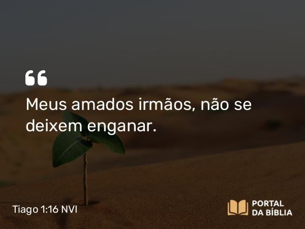 Tiago 1:16 NVI - Meus amados irmãos, não se deixem enganar.