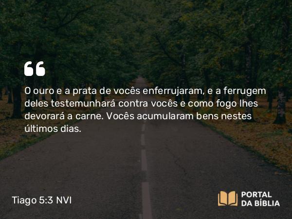 Tiago 5:3 NVI - O ouro e a prata de vocês enferrujaram, e a ferrugem deles testemunhará contra vocês e como fogo lhes devorará a carne. Vocês acumularam bens nestes últimos dias.