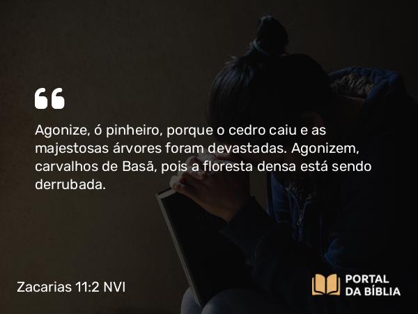 Zacarias 11:2 NVI - Agonize, ó pinheiro, porque o cedro caiu e as majestosas árvores foram devastadas. Agonizem, carvalhos de Basã, pois a floresta densa está sendo derrubada.