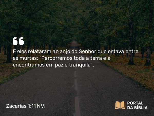 Zacarias 1:11 NVI - E eles relataram ao anjo do Senhor que estava entre as murtas: 