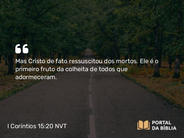 I Coríntios 15:20 NVT - Mas Cristo de fato ressuscitou dos mortos. Ele é o primeiro fruto da colheita de todos que adormeceram.