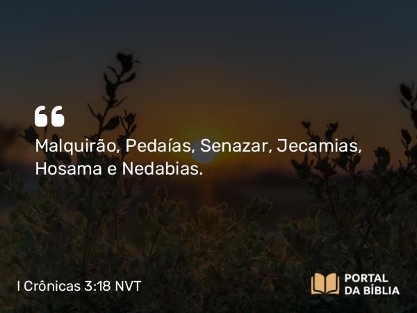 I Crônicas 3:18 NVT - Malquirão, Pedaías, Senazar, Jecamias, Hosama e Nedabias.