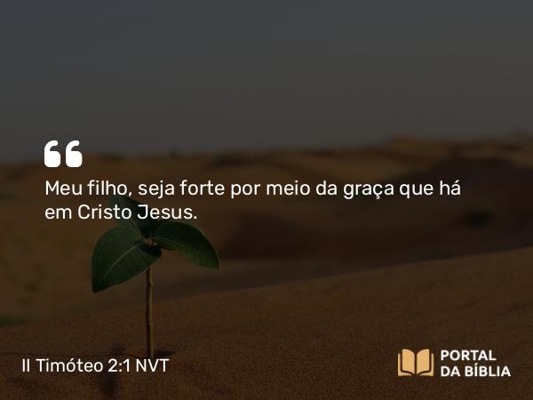 II Timóteo 2:1 NVT - Meu filho, seja forte por meio da graça que há em Cristo Jesus.