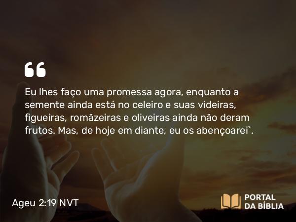 Ageu 2:19 NVT - Eu lhes faço uma promessa agora, enquanto a semente ainda está no celeiro e suas videiras, figueiras, romãzeiras e oliveiras ainda não deram frutos. Mas, de hoje em diante, eu os abençoarei”.