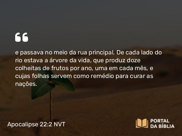 Apocalipse 22:2 NVT - e passava no meio da rua principal. De cada lado do rio estava a árvore da vida, que produz doze colheitas de frutos por ano, uma em cada mês, e cujas folhas servem como remédio para curar as nações.