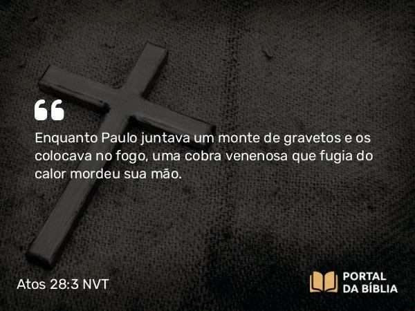 Atos 28:3 NVT - Enquanto Paulo juntava um monte de gravetos e os colocava no fogo, uma cobra venenosa que fugia do calor mordeu sua mão.