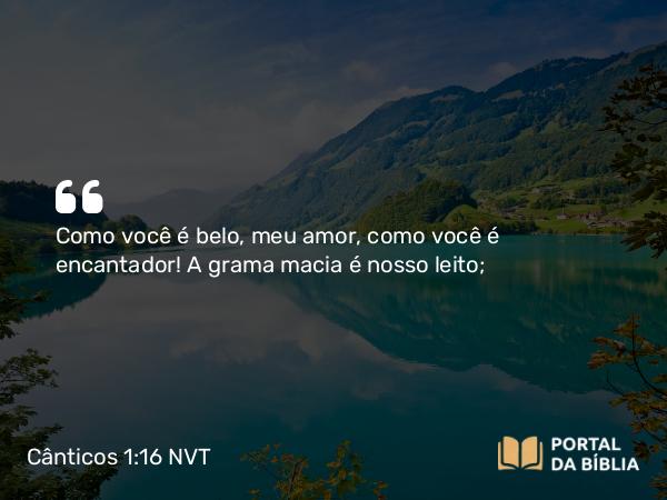 Cânticos 1:16 NVT - Como você é belo, meu amor, como você é encantador! A grama macia é nosso leito;