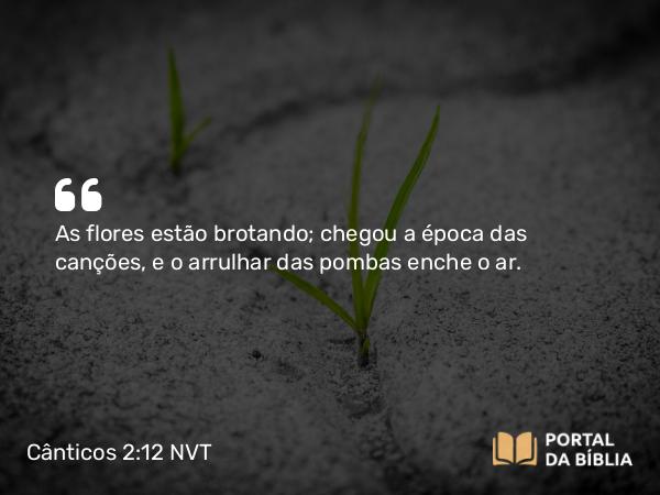 Cânticos 2:12 NVT - As flores estão brotando; chegou a época das canções, e o arrulhar das pombas enche o ar.