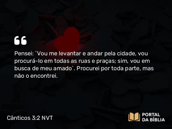 Cânticos 3:2 NVT - Pensei: “Vou me levantar e andar pela cidade, vou procurá-lo em todas as ruas e praças; sim, vou em busca de meu amado”. Procurei por toda parte, mas não o encontrei.