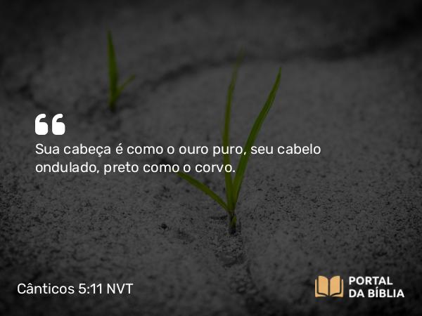 Cânticos 5:11 NVT - Sua cabeça é como o ouro puro, seu cabelo ondulado, preto como o corvo.