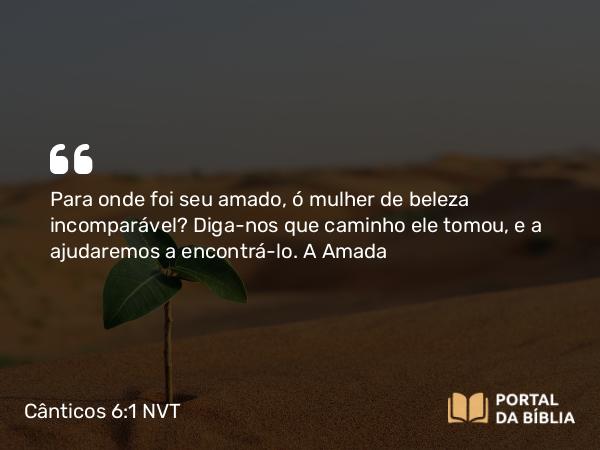 Cânticos 6:1 NVT - Para onde foi seu amado, ó mulher de beleza incomparável? Diga-nos que caminho ele tomou, e a ajudaremos a encontrá-lo.