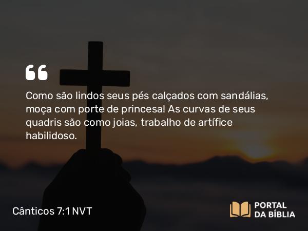 Cânticos 7:1 NVT - Como são lindos seus pés calçados com sandálias, moça com porte de princesa! As curvas de seus quadris são como joias, trabalho de artífice habilidoso.