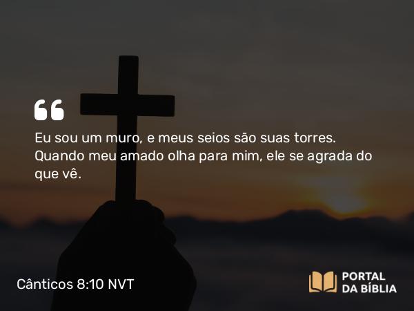 Cânticos 8:10 NVT - Eu sou um muro, e meus seios são suas torres. Quando meu amado olha para mim, ele se agrada do que vê.