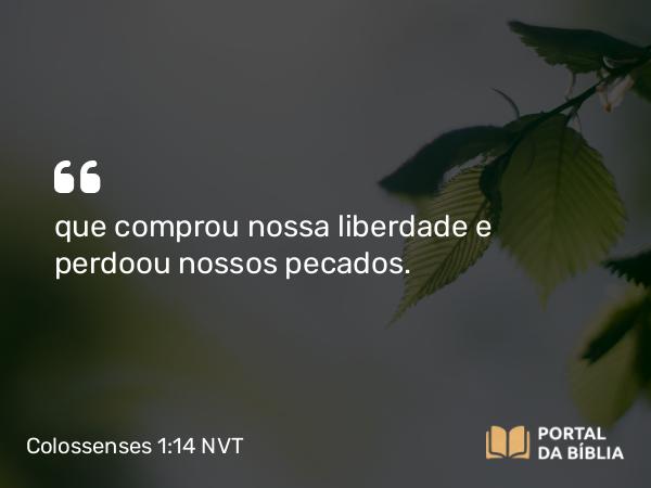 Colossenses 1:14 NVT - que comprou nossa liberdade e perdoou nossos pecados.