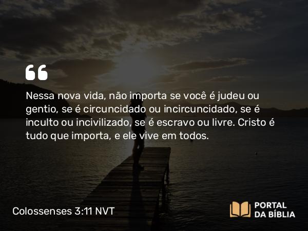 Colossenses 3:11 NVT - Nessa nova vida, não importa se você é judeu ou gentio, se é circuncidado ou incircuncidado, se é inculto ou incivilizado, se é escravo ou livre. Cristo é tudo que importa, e ele vive em todos.