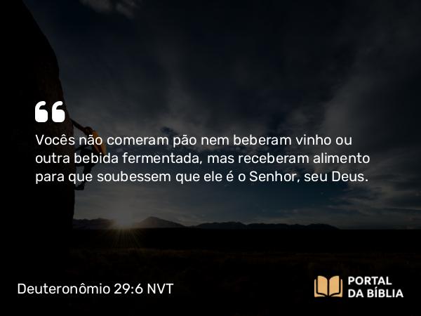 Deuteronômio 29:6 NVT - Vocês não comeram pão nem beberam vinho ou outra bebida fermentada, mas receberam alimento para que soubessem que ele é o SENHOR, seu Deus.