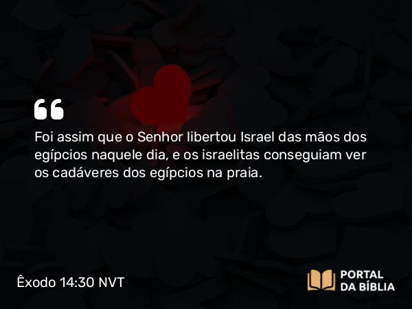 Êxodo 14:30 NVT - Foi assim que o SENHOR libertou Israel das mãos dos ­egípcios naquele dia, e os israelitas conseguiam ver os cadáveres dos egípcios na praia.