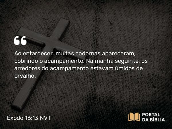 Êxodo 16:13-15 NVT - Ao entardecer, muitas codornas apareceram, cobrindo o acampamento. Na manhã seguinte, os arredores do acampamento estavam úmidos de orvalho.