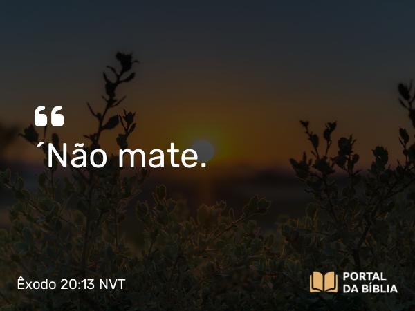 Êxodo 20:13-15 NVT - “Não mate.