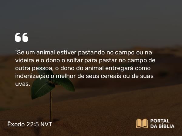 Êxodo 22:5 NVT - “Se um animal estiver pastando no campo ou na videira e o dono o soltar para pastar no campo de outra pessoa, o dono do animal entregará como indenização o melhor de seus cereais ou de suas uvas.