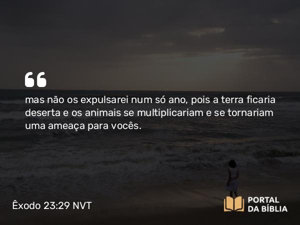 Êxodo 23:29-30 NVT - mas não os expulsarei num só ano, pois a terra ficaria deserta e os animais se multiplicariam e se tornariam uma ameaça para vocês.