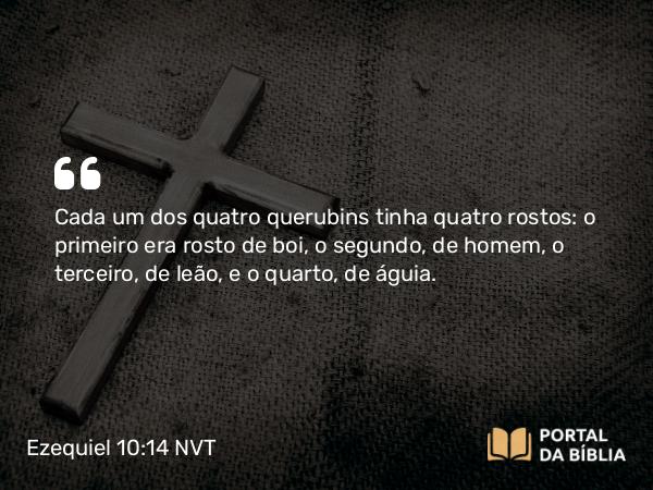 Ezequiel 10:14 NVT - Cada um dos quatro querubins tinha quatro rostos: o primeiro era rosto de boi, o segundo, de homem, o terceiro, de leão, e o quarto, de águia.