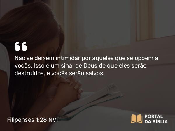 Filipenses 1:28 NVT - Não se deixem intimidar por aqueles que se opõem a vocês. Isso é um sinal de Deus de que eles serão destruídos, e vocês serão salvos.