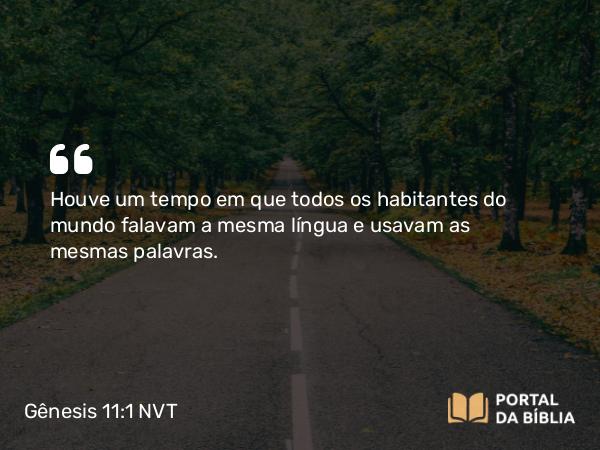 Gênesis 11:1 NVT - Houve um tempo em que todos os habitantes do mundo falavam a mesma língua e usavam as mesmas palavras.