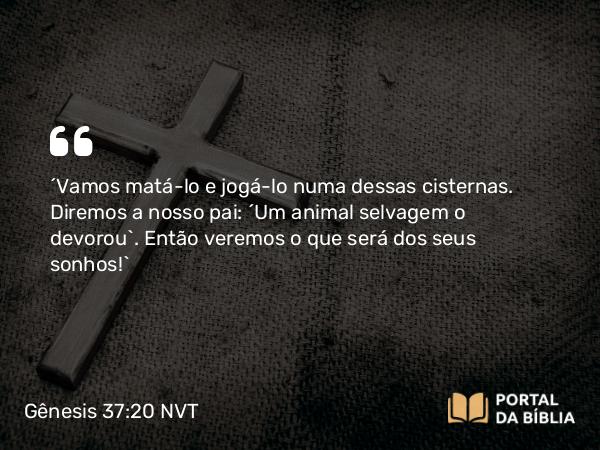 Gênesis 37:20 NVT - “Vamos matá-lo e jogá-lo numa dessas cisternas. Diremos a nosso pai: ‘Um animal selvagem o devorou’. Então veremos o que será dos seus sonhos!”