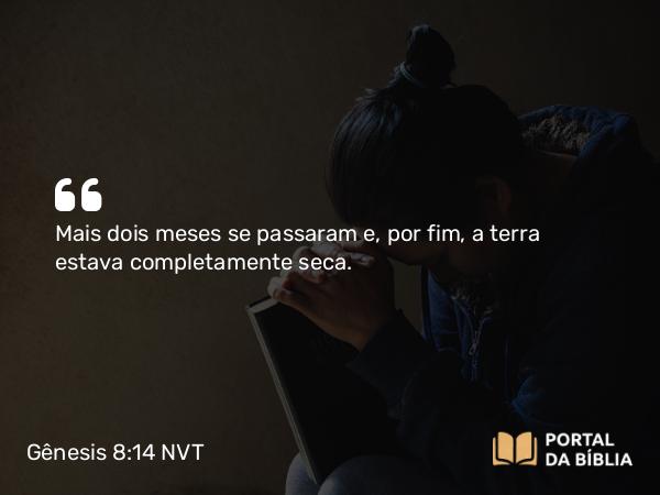 Gênesis 8:14 NVT - Mais dois meses se passaram e, por fim, a terra estava completamente seca.