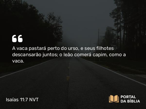 Isaías 11:7 NVT - A vaca pastará perto do urso, e seus filhotes descansarão juntos; o leão comerá capim, como a vaca.