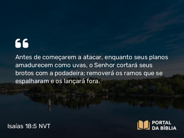 Isaías 18:5 NVT - Antes de começarem a atacar, enquanto seus planos amadurecem como uvas, o SENHOR cortará seus brotos com a podadeira; removerá os ramos que se espalharam e os lançará fora.