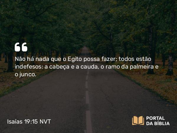 Isaías 19:15 NVT - Não há nada que o Egito possa fazer; todos estão indefesos: a cabeça e a cauda, o ramo da palmeira e o junco.