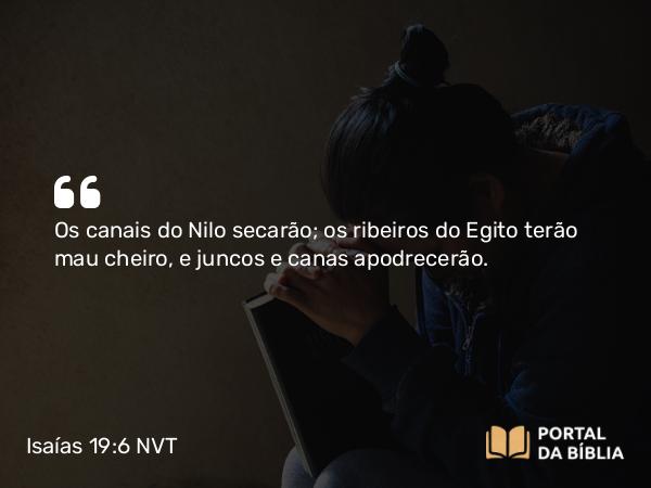 Isaías 19:6 NVT - Os canais do Nilo secarão; os ribeiros do Egito terão mau cheiro, e juncos e canas apodrecerão.